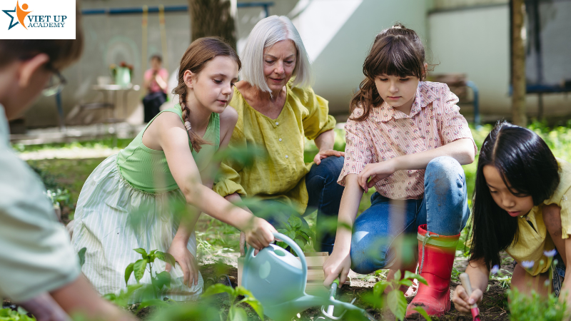 Trồng cây ở nhà và ở trường